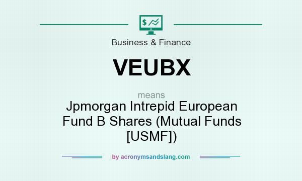 What does VEUBX mean? It stands for Jpmorgan Intrepid European Fund B Shares (Mutual Funds [USMF])
