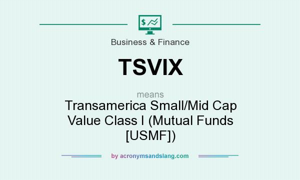 What does TSVIX mean? It stands for Transamerica Small/Mid Cap Value Class I (Mutual Funds [USMF])