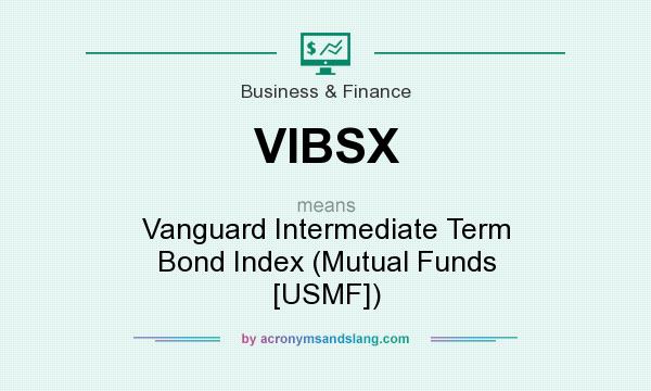 What does VIBSX mean? It stands for Vanguard Intermediate Term Bond Index (Mutual Funds [USMF])