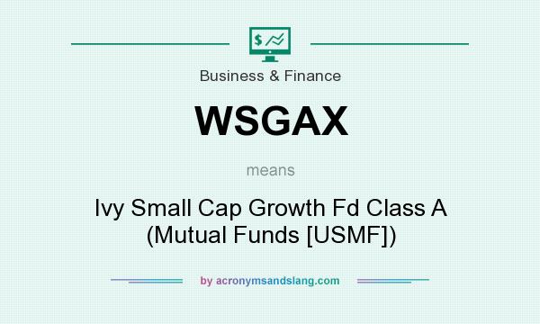 What does WSGAX mean? It stands for Ivy Small Cap Growth Fd Class A (Mutual Funds [USMF])