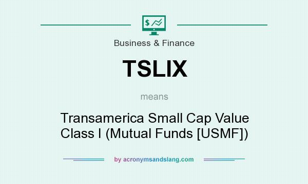 What does TSLIX mean? It stands for Transamerica Small Cap Value Class I (Mutual Funds [USMF])