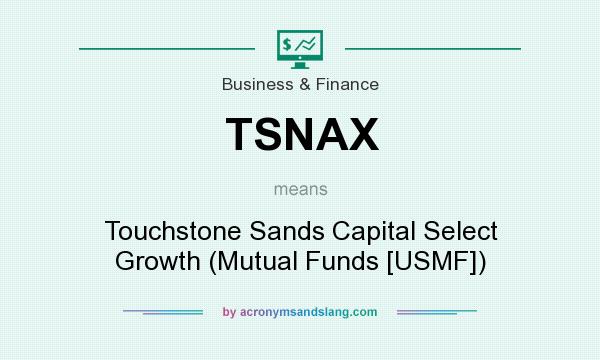 What does TSNAX mean? It stands for Touchstone Sands Capital Select Growth (Mutual Funds [USMF])
