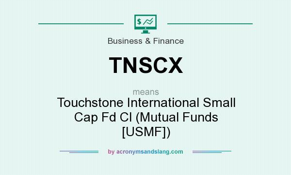What does TNSCX mean? It stands for Touchstone International Small Cap Fd Cl (Mutual Funds [USMF])