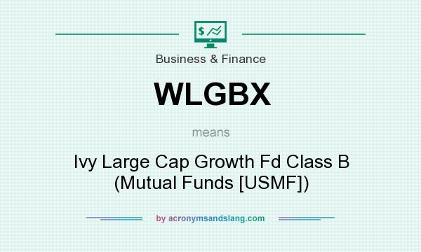 What does WLGBX mean? It stands for Ivy Large Cap Growth Fd Class B (Mutual Funds [USMF])