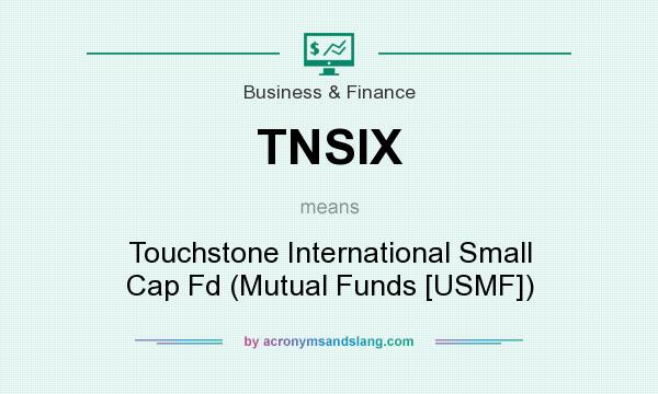 What does TNSIX mean? It stands for Touchstone International Small Cap Fd (Mutual Funds [USMF])