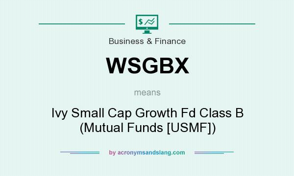 What does WSGBX mean? It stands for Ivy Small Cap Growth Fd Class B (Mutual Funds [USMF])