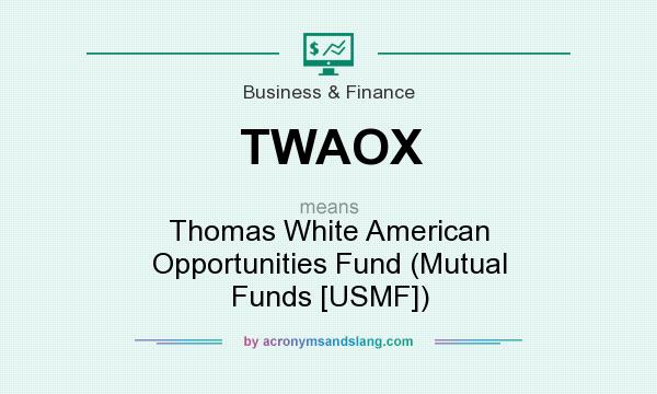 What does TWAOX mean? It stands for Thomas White American Opportunities Fund (Mutual Funds [USMF])