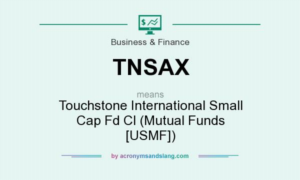 What does TNSAX mean? It stands for Touchstone International Small Cap Fd Cl (Mutual Funds [USMF])
