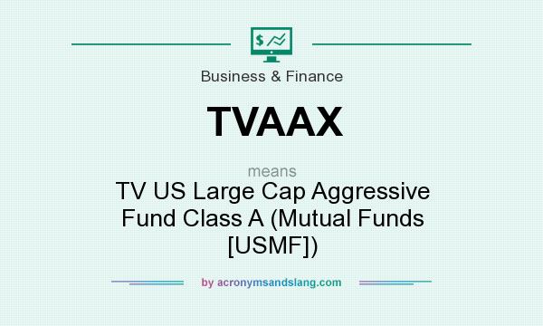 What does TVAAX mean? It stands for TV US Large Cap Aggressive Fund Class A (Mutual Funds [USMF])