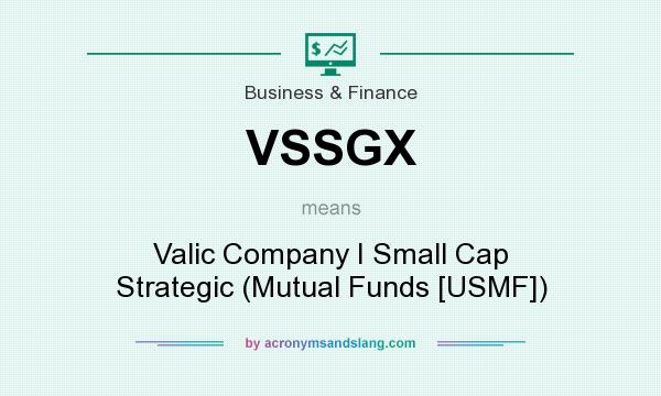 What does VSSGX mean? It stands for Valic Company I Small Cap Strategic (Mutual Funds [USMF])