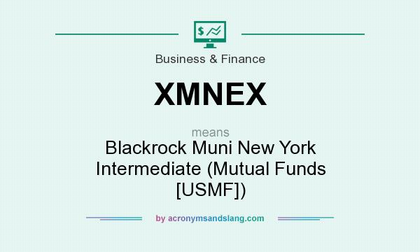 What does XMNEX mean? It stands for Blackrock Muni New York Intermediate (Mutual Funds [USMF])
