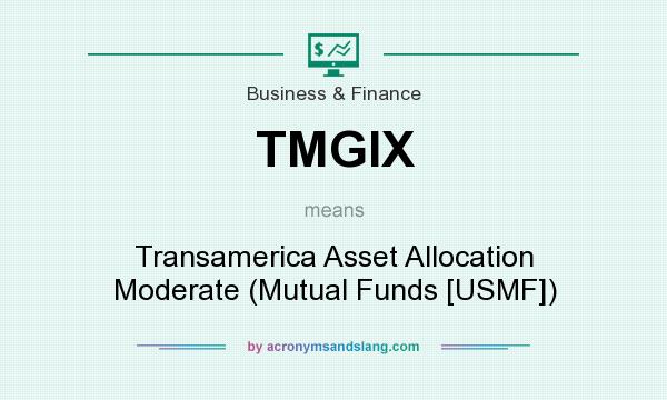 What does TMGIX mean? It stands for Transamerica Asset Allocation Moderate (Mutual Funds [USMF])