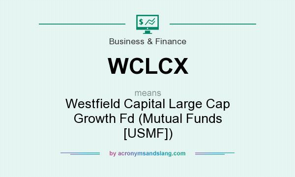 What does WCLCX mean? It stands for Westfield Capital Large Cap Growth Fd (Mutual Funds [USMF])