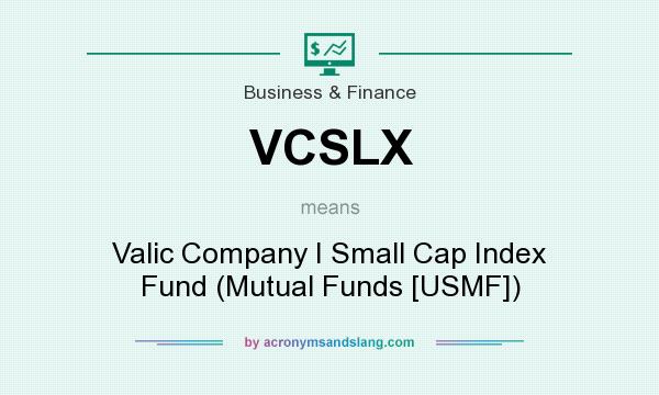 What does VCSLX mean? It stands for Valic Company I Small Cap Index Fund (Mutual Funds [USMF])