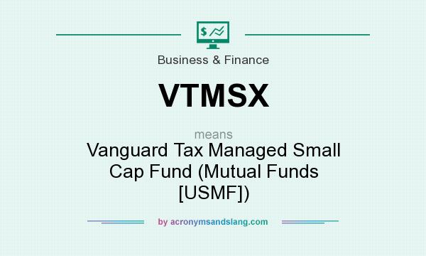 What does VTMSX mean? It stands for Vanguard Tax Managed Small Cap Fund (Mutual Funds [USMF])