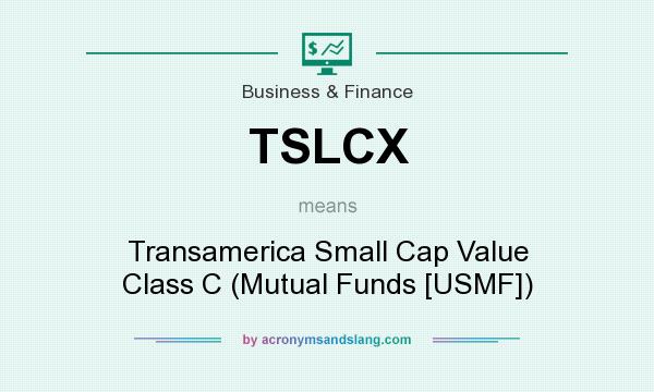 What does TSLCX mean? It stands for Transamerica Small Cap Value Class C (Mutual Funds [USMF])