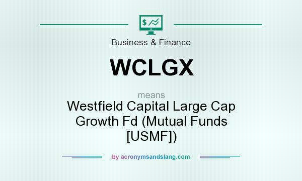What does WCLGX mean? It stands for Westfield Capital Large Cap Growth Fd (Mutual Funds [USMF])