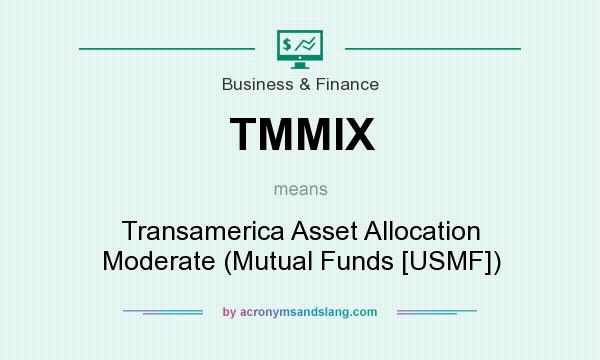 What does TMMIX mean? It stands for Transamerica Asset Allocation Moderate (Mutual Funds [USMF])