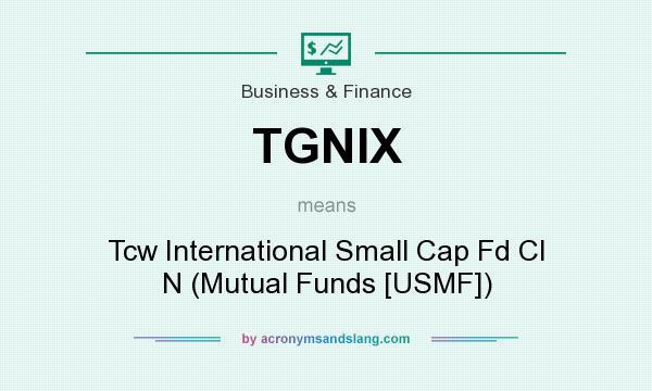 What does TGNIX mean? It stands for Tcw International Small Cap Fd Cl N (Mutual Funds [USMF])