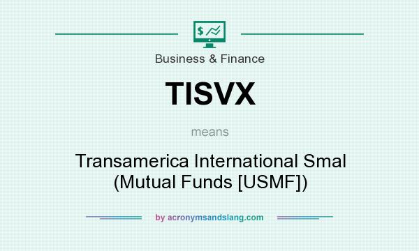 What does TISVX mean? It stands for Transamerica International Smal (Mutual Funds [USMF])