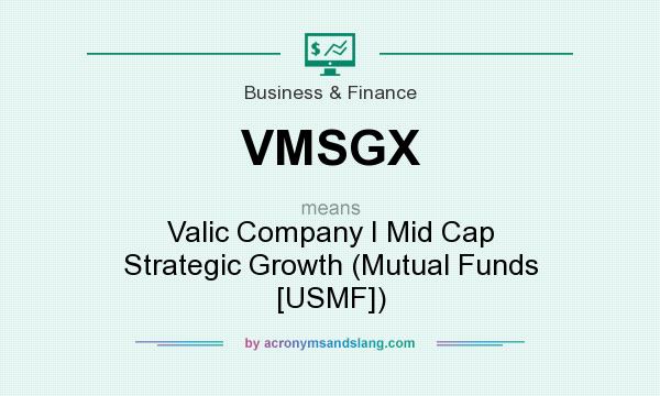 What does VMSGX mean? It stands for Valic Company I Mid Cap Strategic Growth (Mutual Funds [USMF])