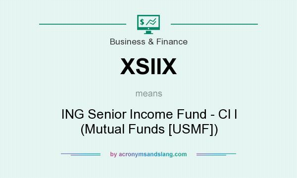 What does XSIIX mean? It stands for ING Senior Income Fund - Cl I (Mutual Funds [USMF])