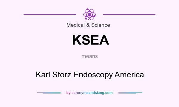 What does KSEA mean? It stands for Karl Storz Endoscopy America