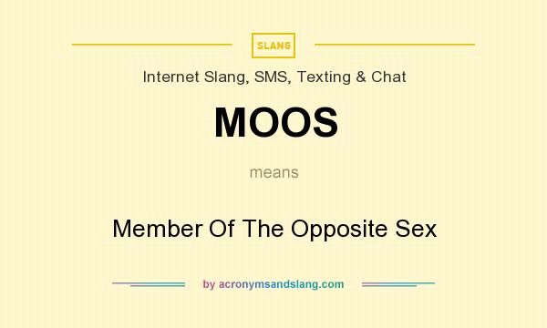 What does MOOS mean? It stands for Member Of The Opposite Sex