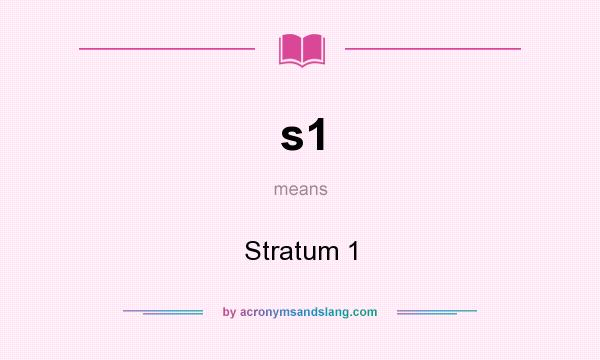 What does s1 mean? It stands for Stratum 1