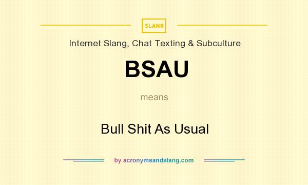 What does BSAU mean? It stands for Bull Shit As Usual