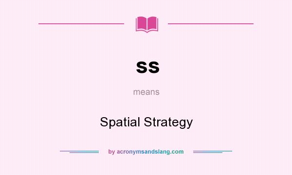 What does ss mean? It stands for Spatial Strategy