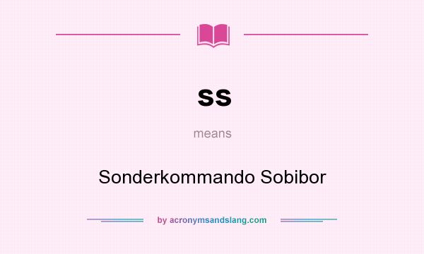 What does ss mean? It stands for Sonderkommando Sobibor