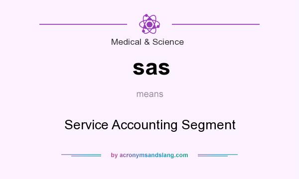 What does sas mean? It stands for Service Accounting Segment