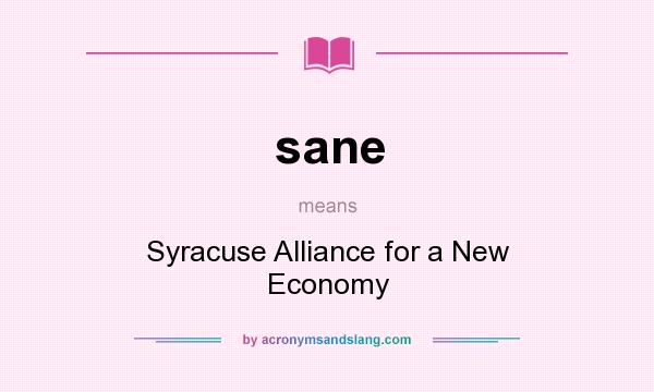 What does sane mean? It stands for Syracuse Alliance for a New Economy
