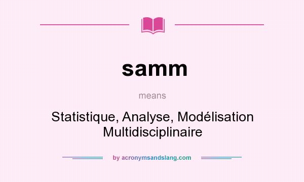 What does samm mean? It stands for Statistique, Analyse, Modélisation Multidisciplinaire