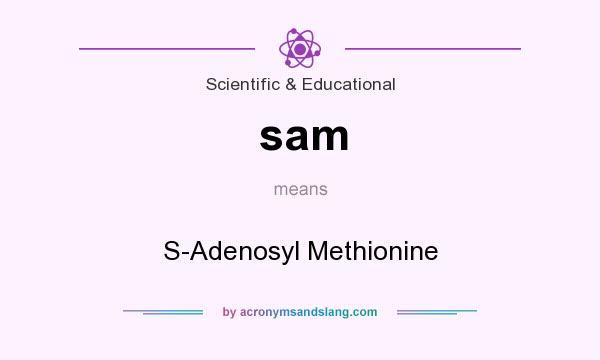 What does sam mean? It stands for S-Adenosyl Methionine