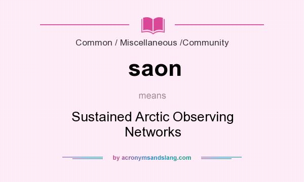 What does saon mean? It stands for Sustained Arctic Observing Networks