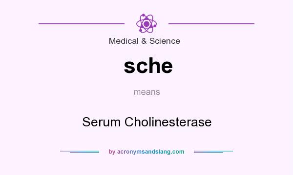 What does sche mean? It stands for Serum Cholinesterase