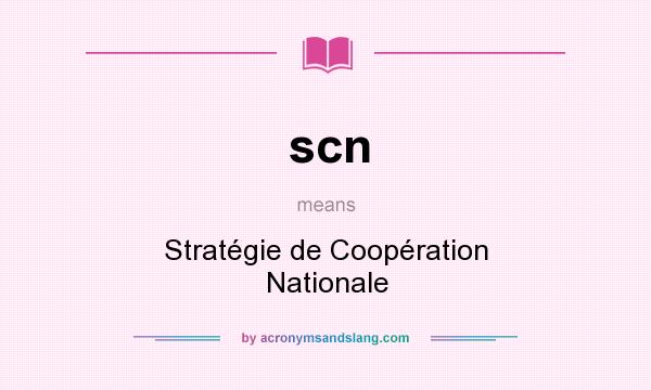 What does scn mean? It stands for Stratégie de Coopération Nationale