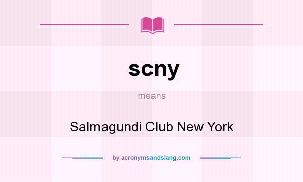 What does scny mean? It stands for Salmagundi Club New York