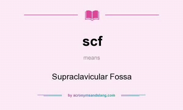 What does scf mean? It stands for Supraclavicular Fossa