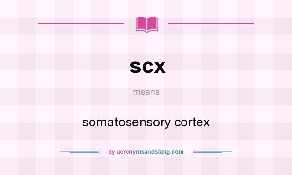 What does scx mean? It stands for somatosensory cortex