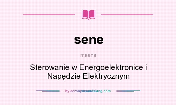 What does sene mean? It stands for Sterowanie w Energoelektronice i Napędzie Elektrycznym