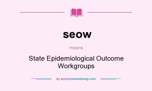 What does seow mean? It stands for State Epidemiological Outcome Workgroups