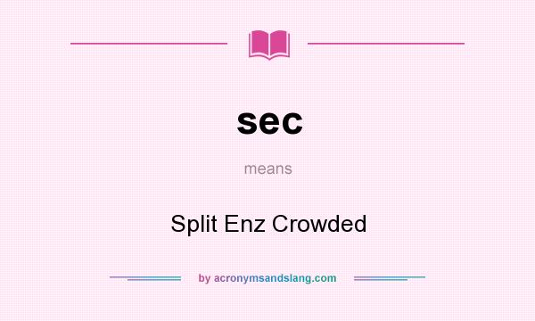 What does sec mean? It stands for Split Enz Crowded