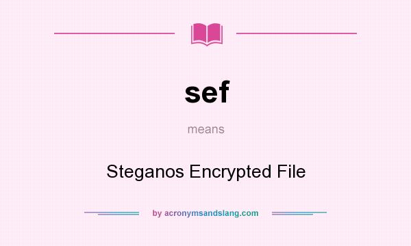 What does sef mean? It stands for Steganos Encrypted File