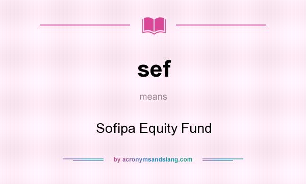 What does sef mean? It stands for Sofipa Equity Fund