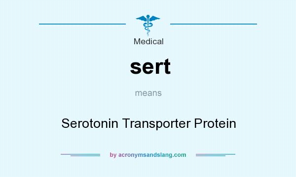 What does sert mean? It stands for Serotonin Transporter Protein