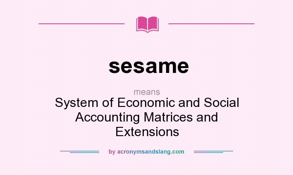 What does sesame mean? It stands for System of Economic and Social Accounting Matrices and Extensions