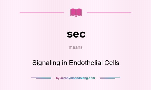 What does sec mean? It stands for Signaling in Endothelial Cells
